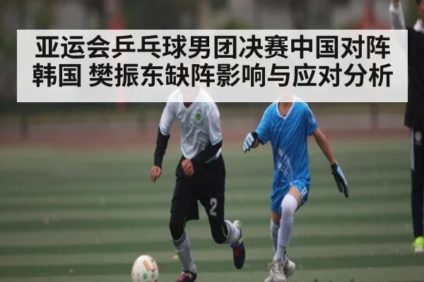 亚运会乒乓球男团决赛中国对阵韩国 樊振东缺阵影响与应对分析